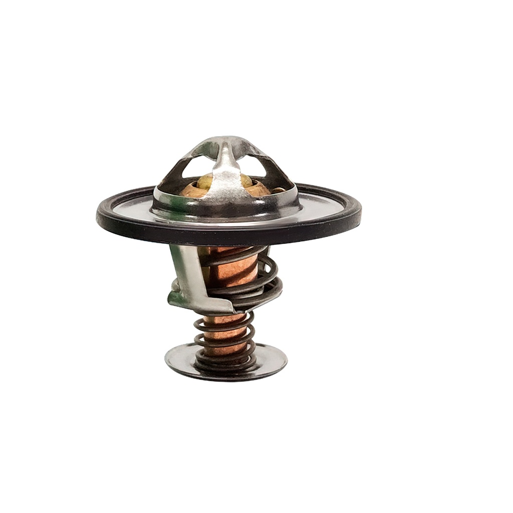 [K2065.82 KG] TERMOSTATO
