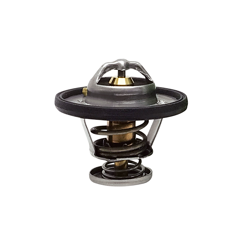 [K658.76 KG] TERMOSTATO