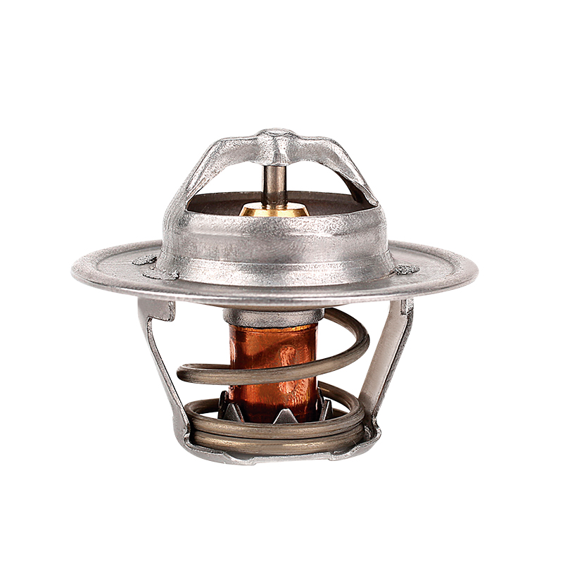 [K2000.82 KG] TERMOSTATO