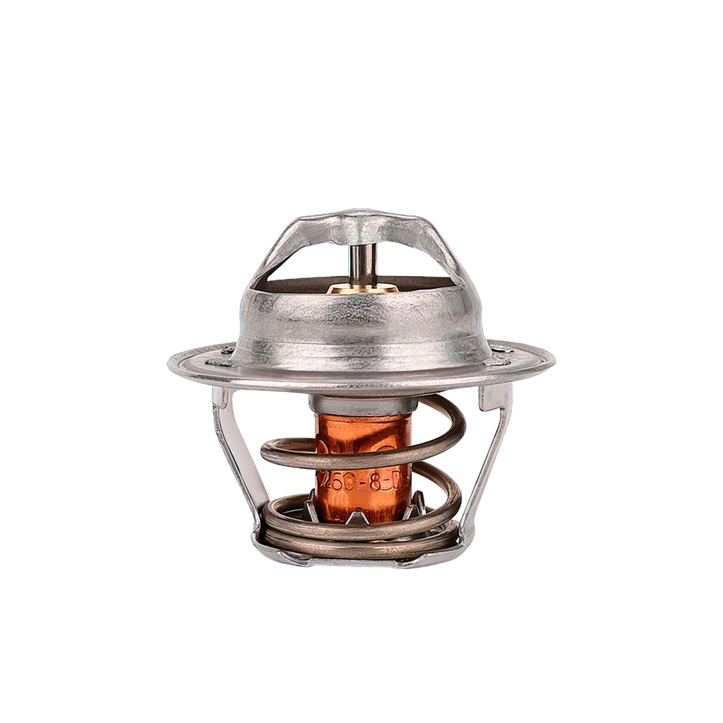 [K202.82 KG] TERMOSTATO
