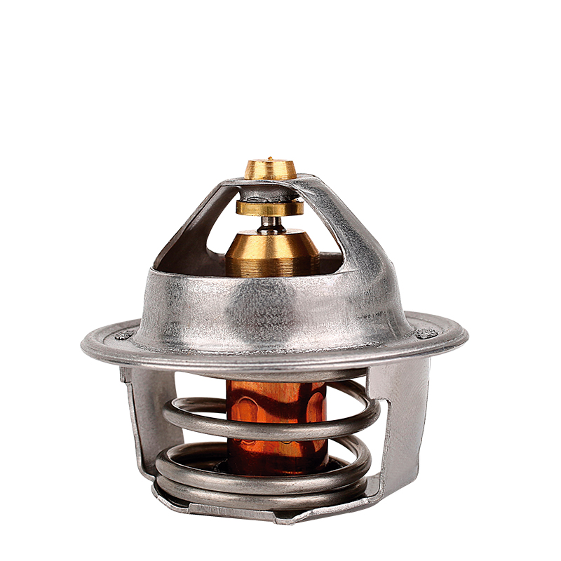 [K204.82 KG] TERMOSTATO