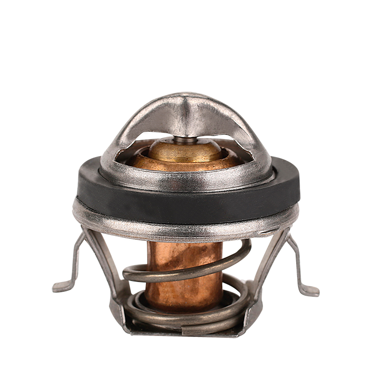 [K207.82 KG] TERMOSTATO