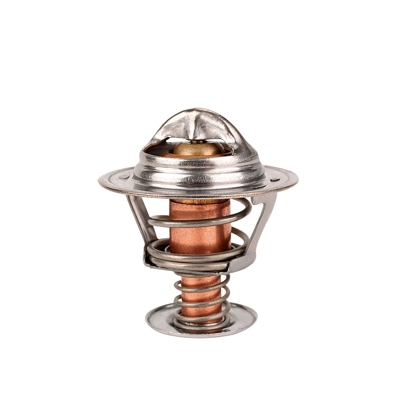 [K214.75 KG] TERMOSTATO