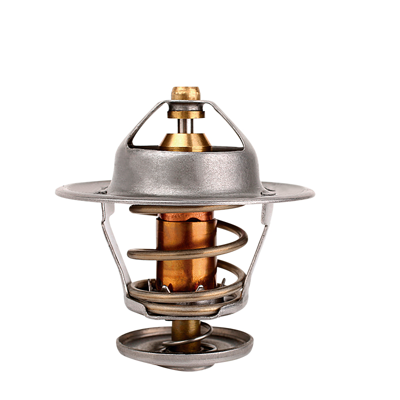 [K228.71 KG] TERMOSTATO