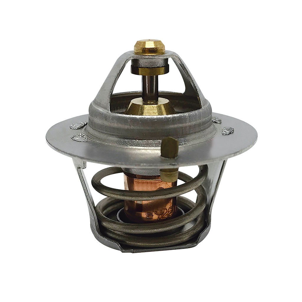 [K239.82 KG] TERMOSTATO