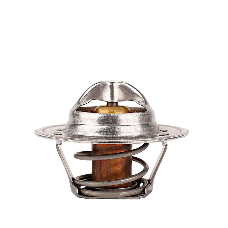 [K240.82 KG] TERMOSTATO