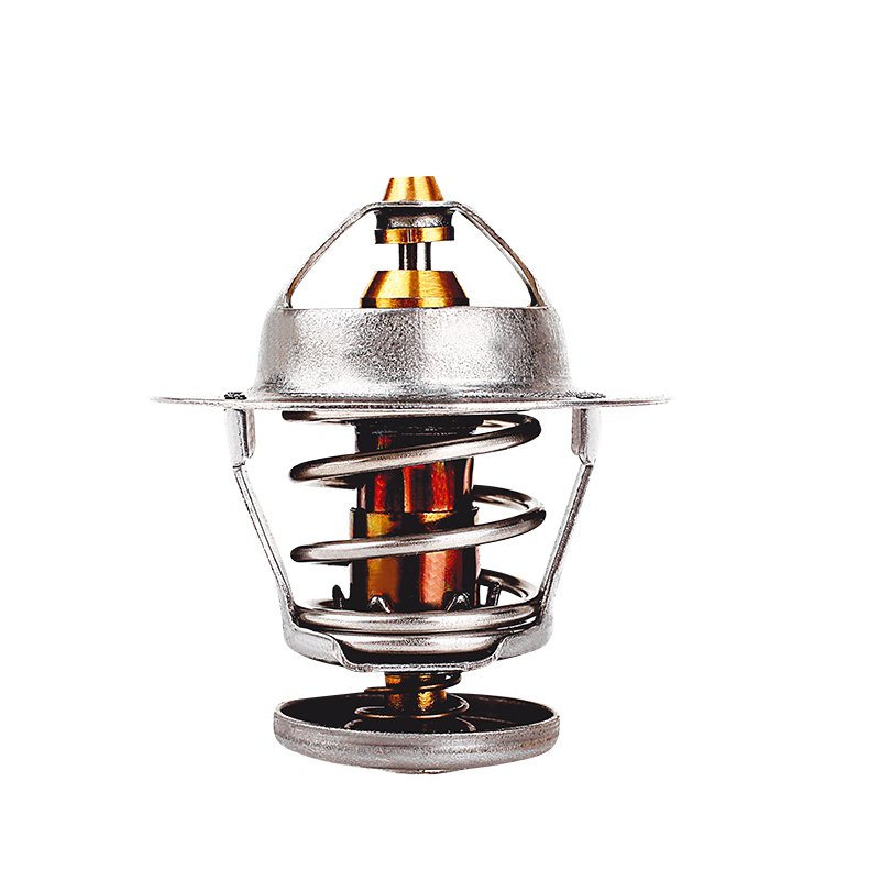 [K242.77 KG] TERMOSTATO