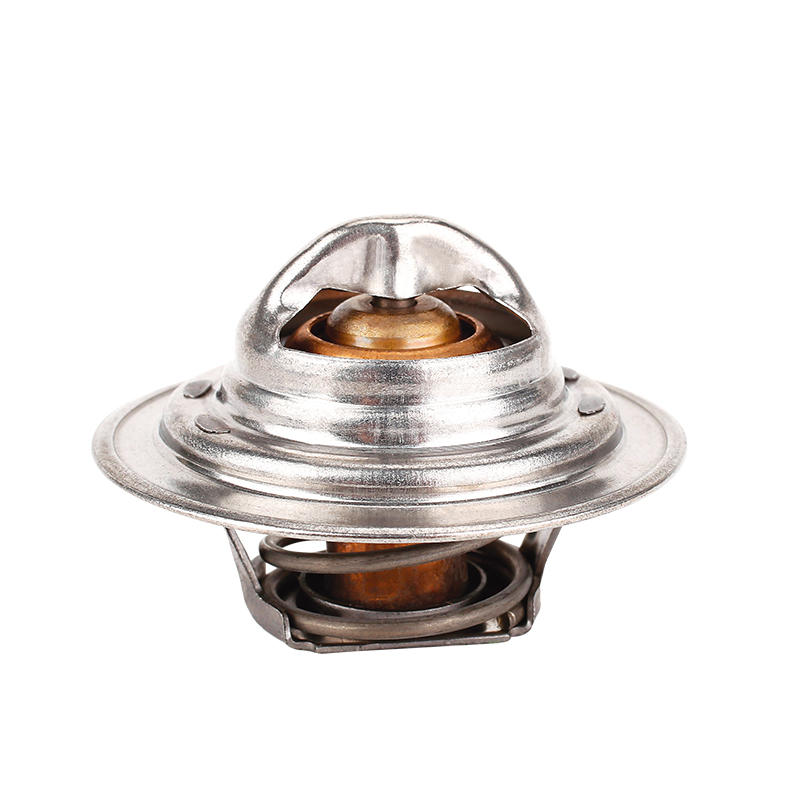 [K244.82 KG] TERMOSTATO