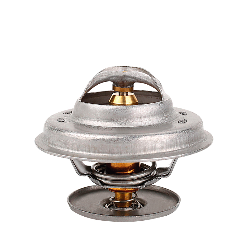 [K248.83 KG] TERMOSTATO