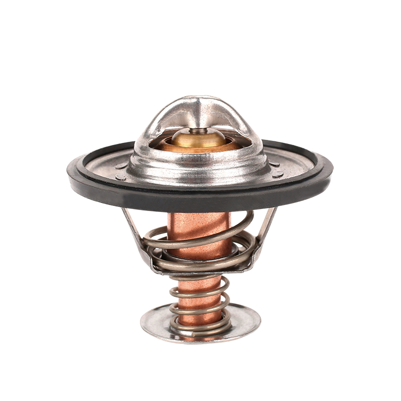 [K265.71 KG] TERMOSTATO