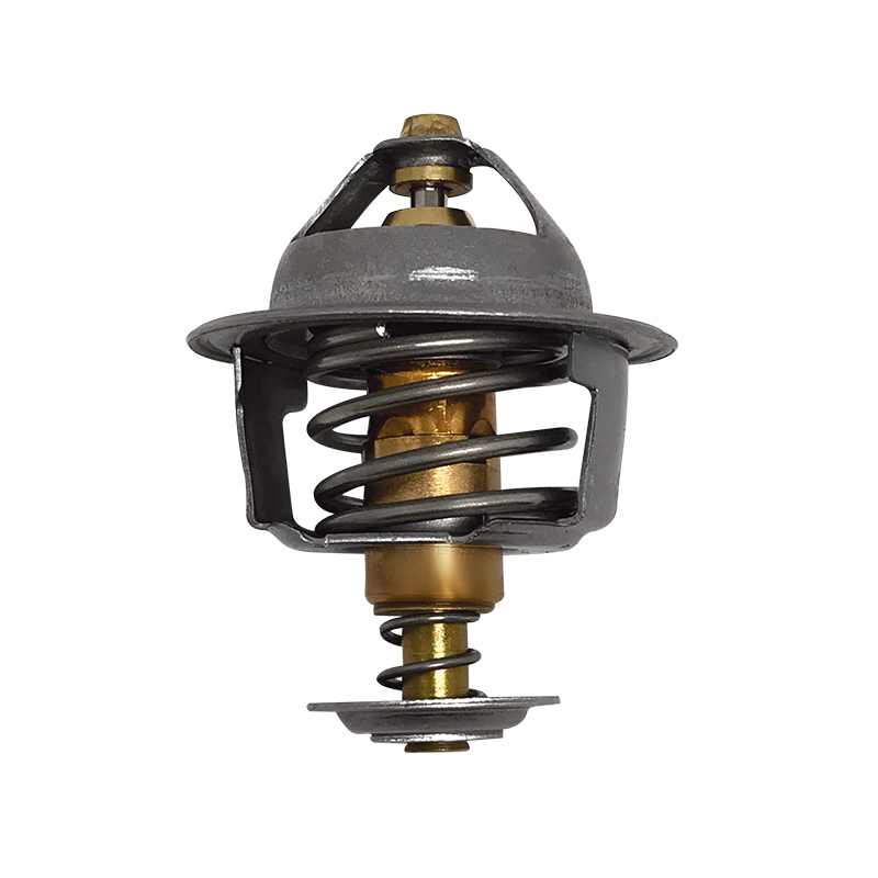 [K267.71 KG] TERMOSTATO
