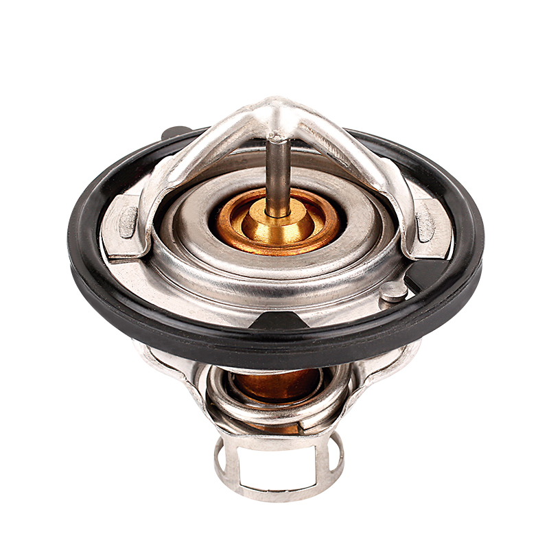 [K268.77 KG] TERMOSTATO