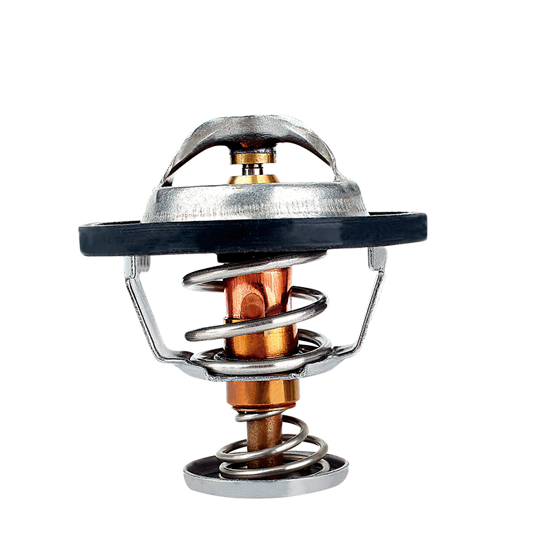 [K299.77 KG] TERMOSTATO