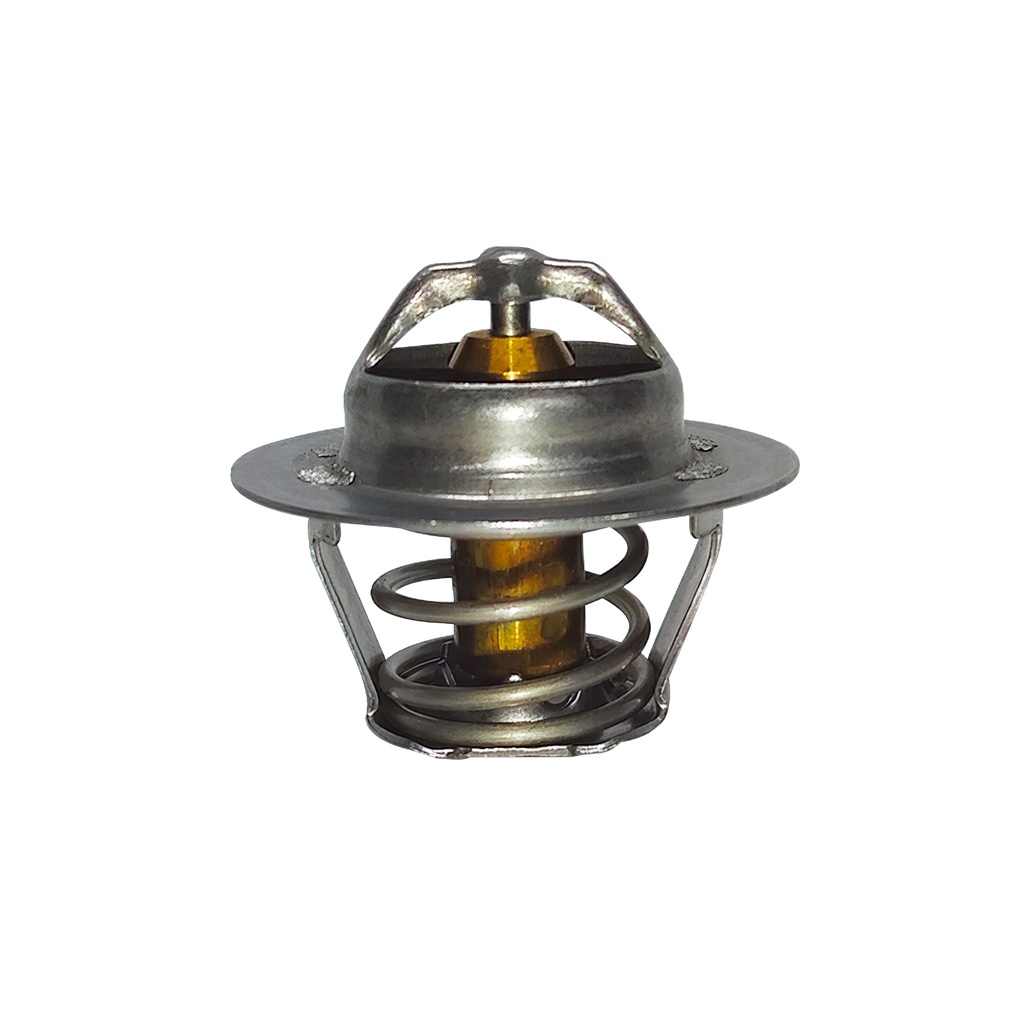[K305.89 KG] TERMOSTATO