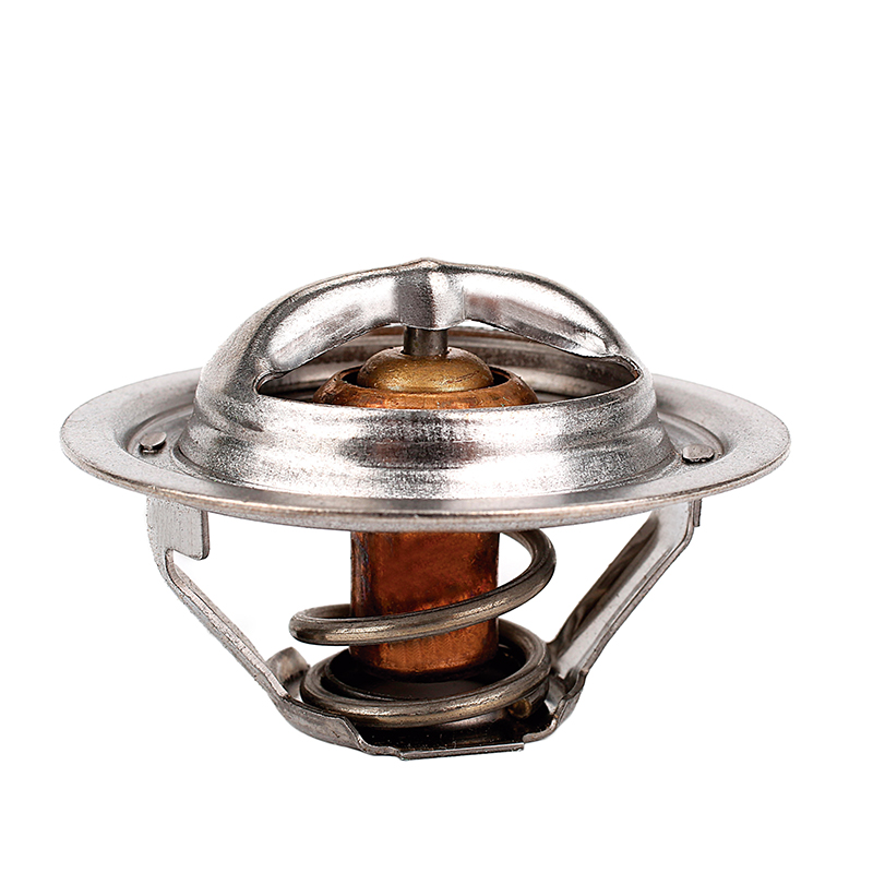 [K320.77 KG] TERMOSTATO