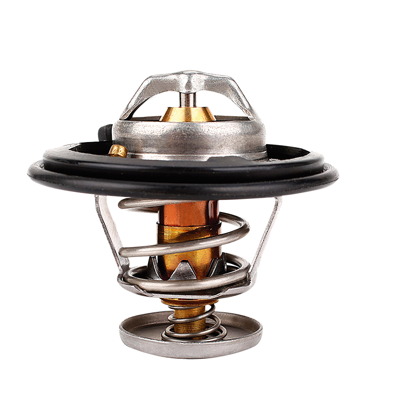 [K328.78 KG] TERMOSTATO