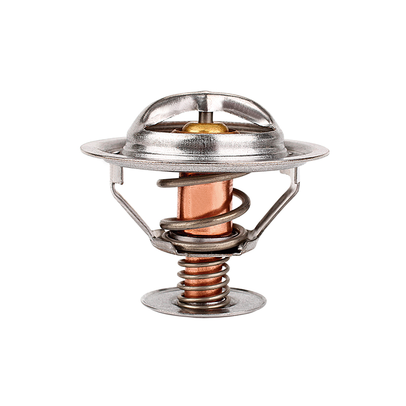[K334.82 KG] TERMOSTATO
