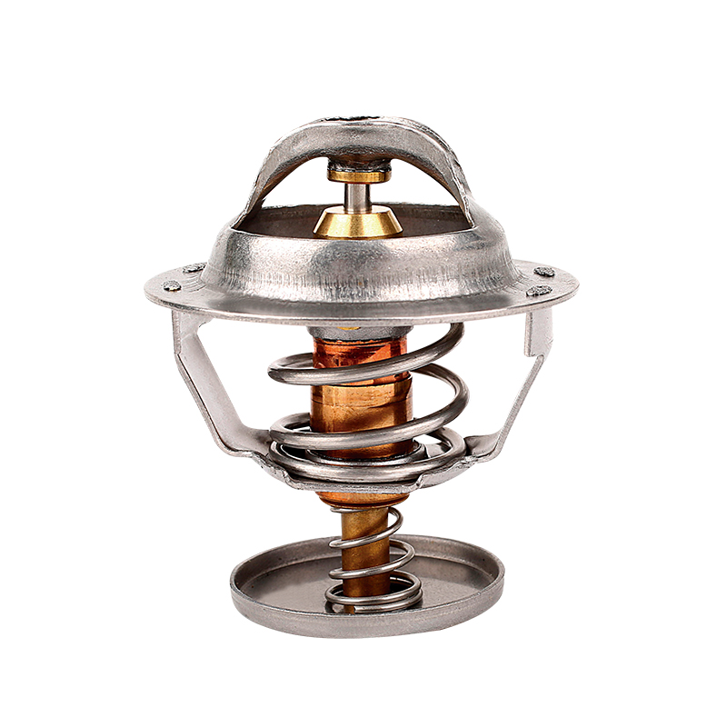 [K354.82 KG] TERMOSTATO