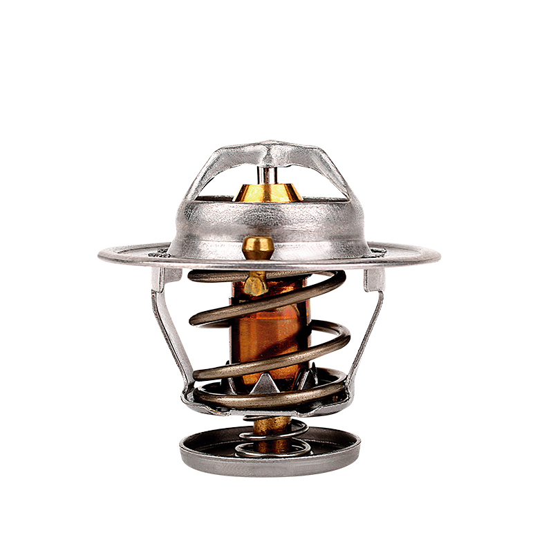 [K381.77 KG] TERMOSTATO
