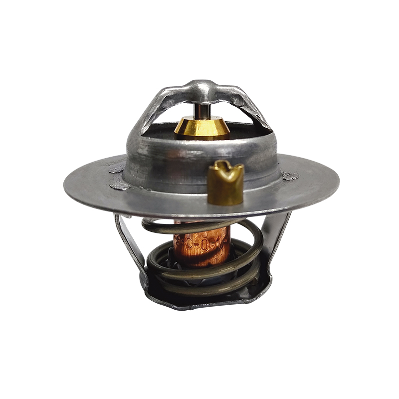 [K420.90 KG] TERMOSTATO