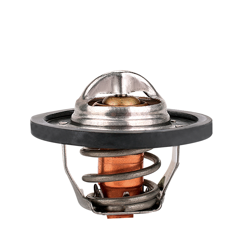 [K421.82 KG] TERMOSTATO