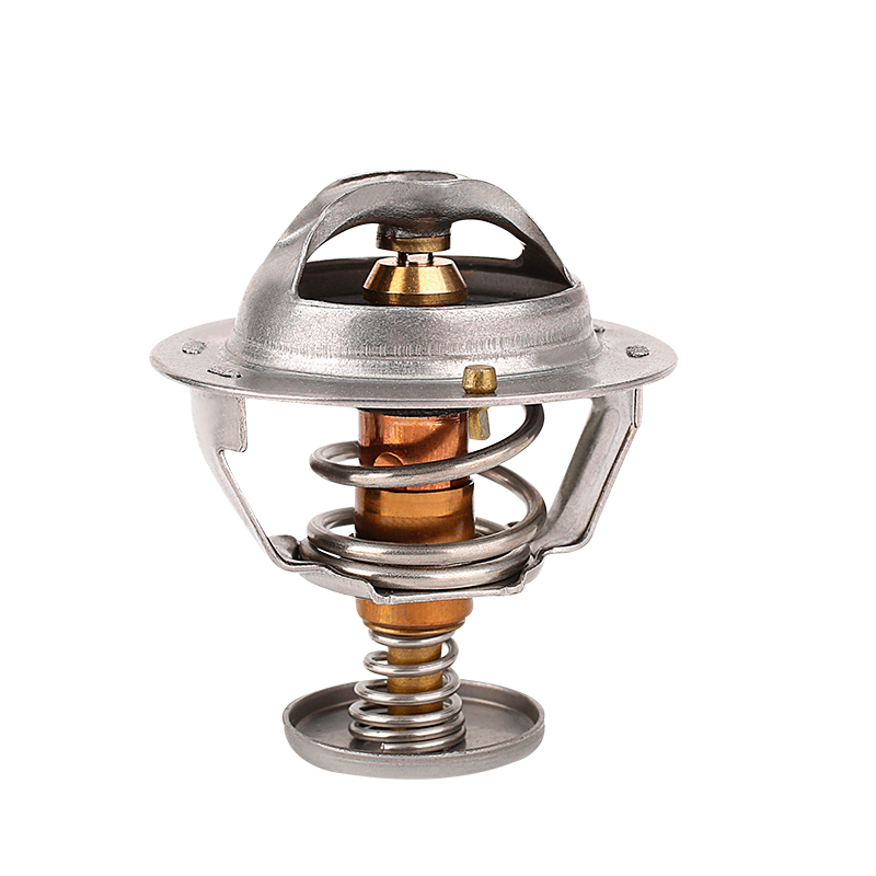 [K422.88 KG] TERMOSTATO