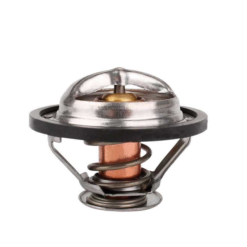 [K426.88 KG] TERMOSTATO