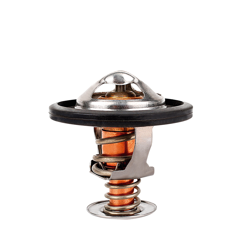 [K444.82 KG] TERMOSTATO