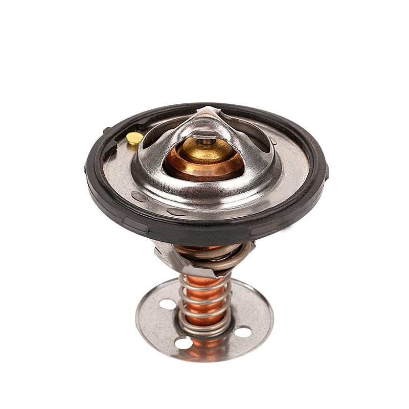 [K456.82 KG] TERMOSTATO