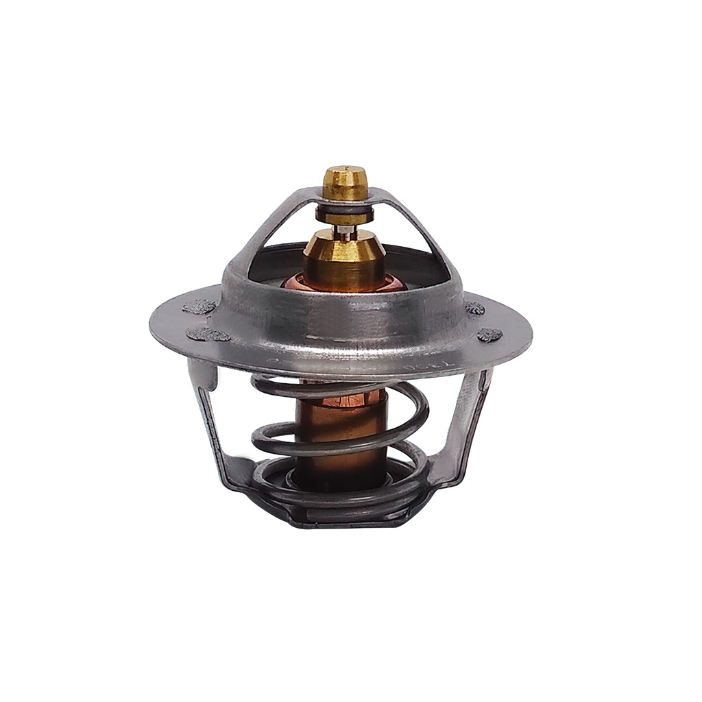 [K457.96 KG] TERMOSTATO