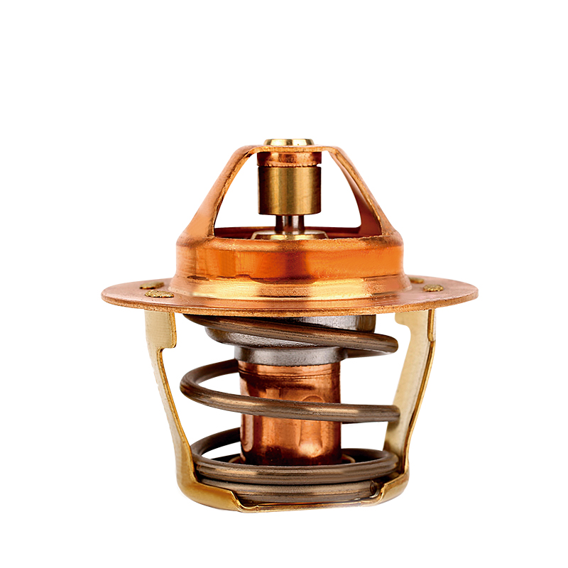 [K474.82 KG] TERMOSTATO