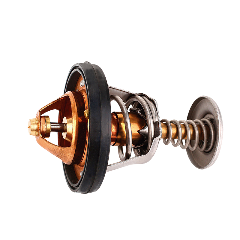 [K511.91 KG] TERMOSTATO