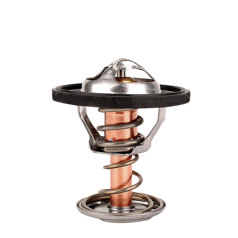 [K523.89 KG] TERMOSTATO
