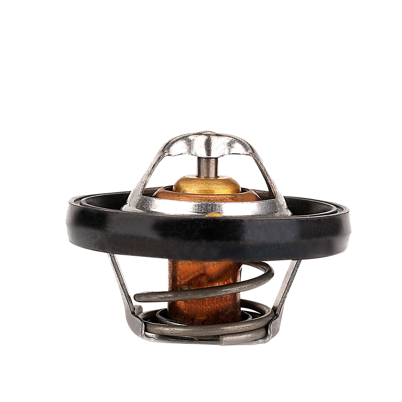 [K656.91 KG] TERMOSTATO