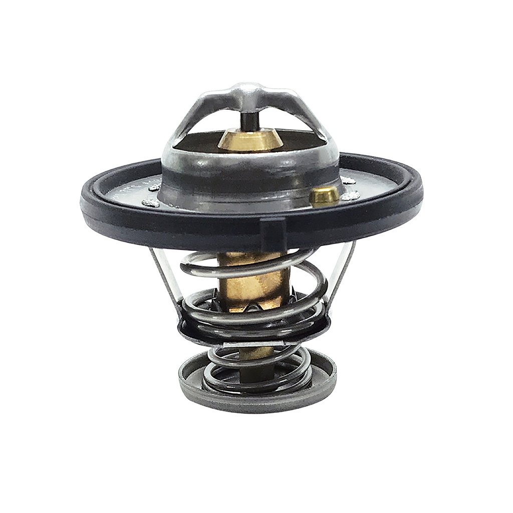 [K658.77 KG] TERMOSTATO