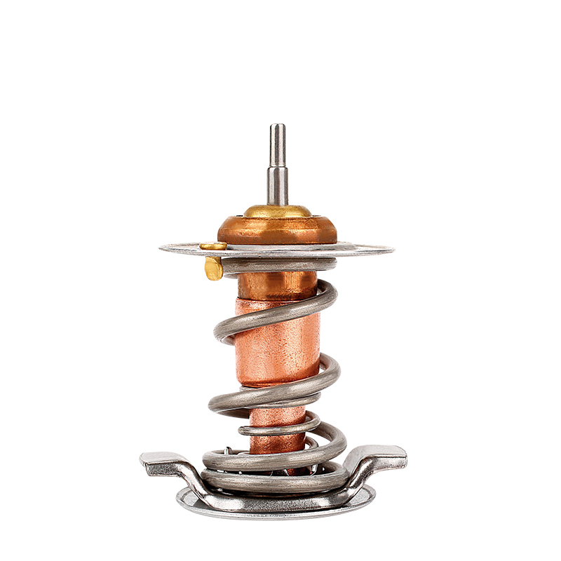 [K719.82 KG] TERMOSTATO