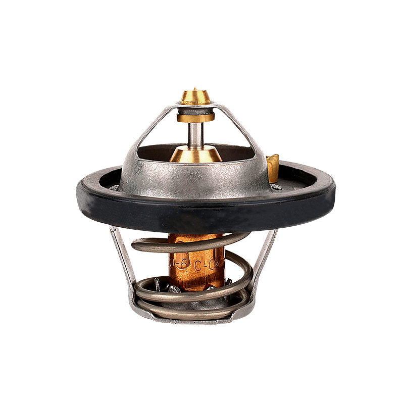 [K737.82 KG] TERMOSTATO