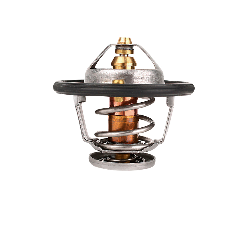 [K742.76 KG] TERMOSTATO