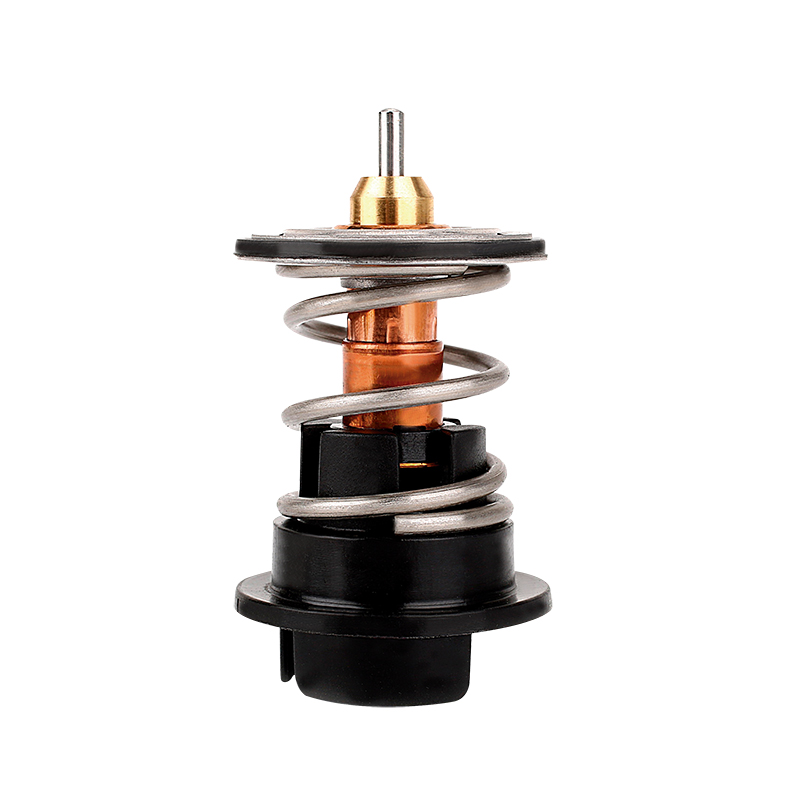 [K743.80 KG] TERMOSTATO