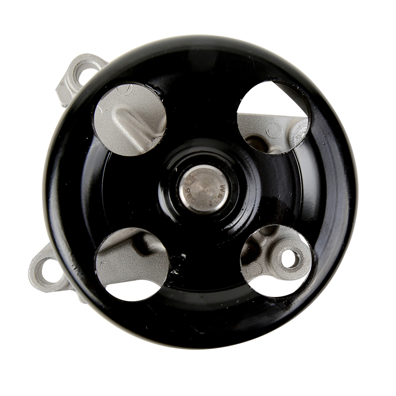 [KGP-2118 KG] BOMBA DE AGUA