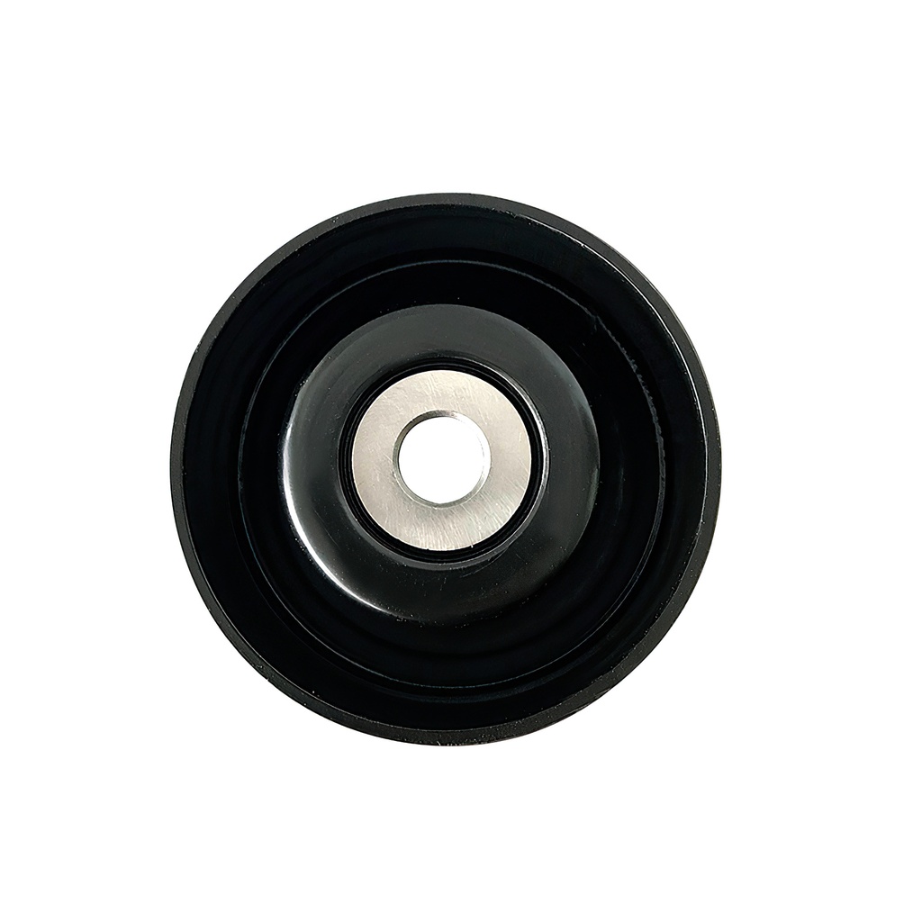 [KR-131079 KG] POLEA GUIA