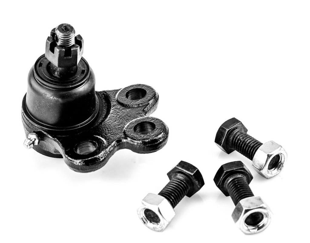 [K-5303 SYD] ROTULA INFERIOR