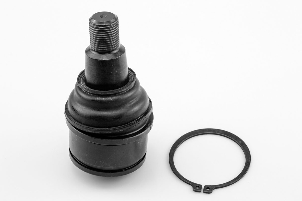[1008012 SYD] ROTULA INFERIOR