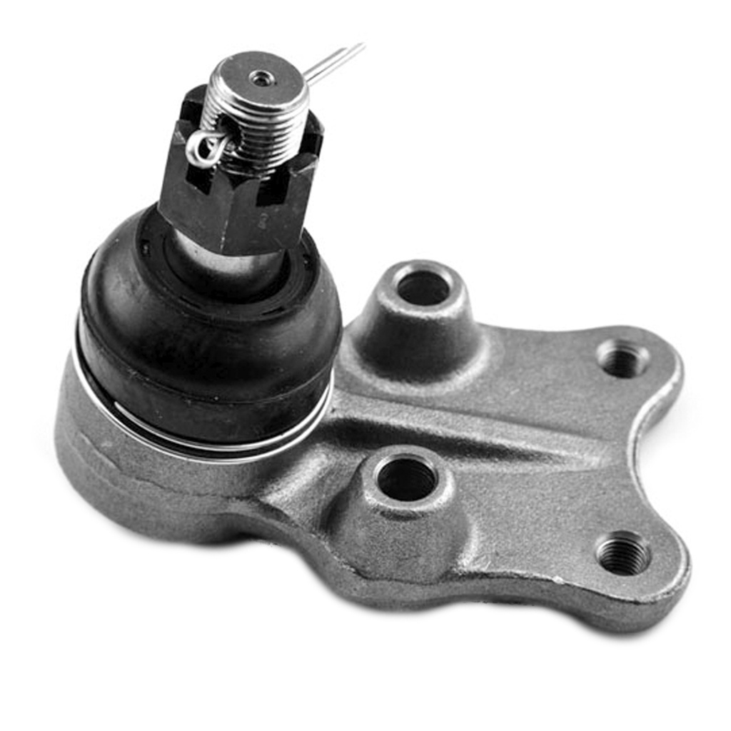 [K-9463 SYD] ROTULA INFERIOR