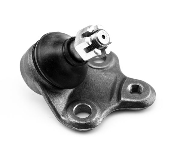 [K-9756 SYD] ROTULA INFERIOR
