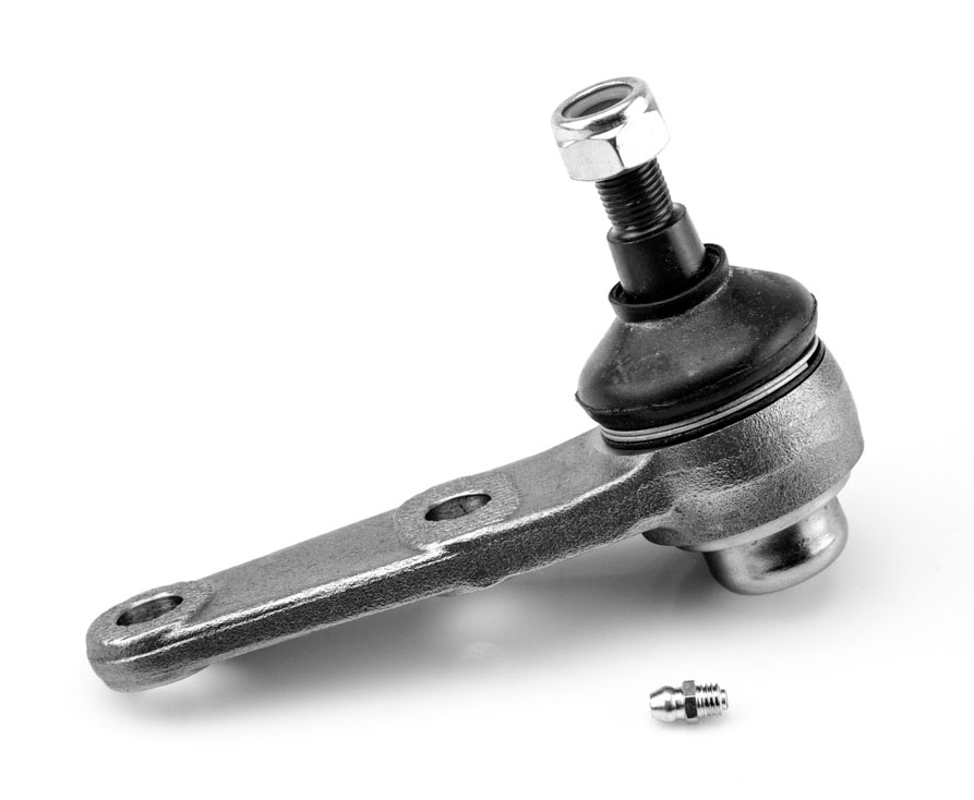 [K-9635 SYD] ROTULA INFERIOR