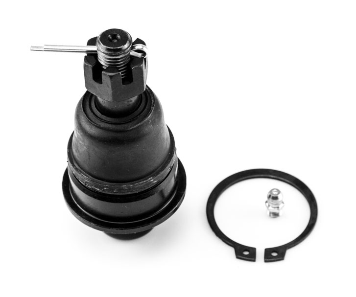 [K-9631 SYD] ROTULA INFERIOR