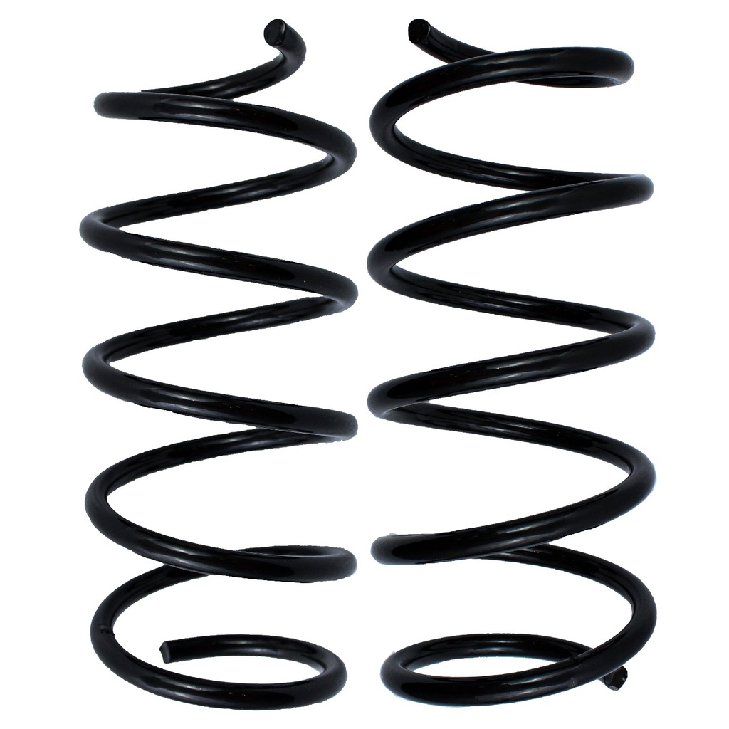 [1091113 AG] RESORTE