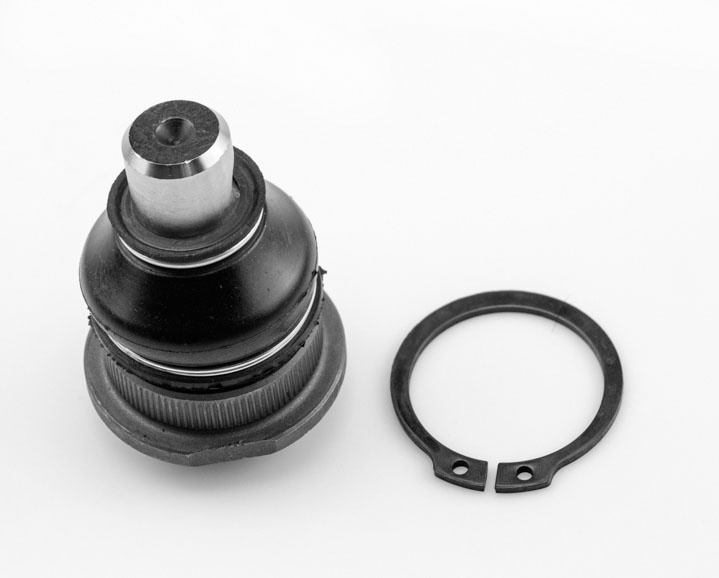 [1019007 SYD] ROTULA INFERIOR