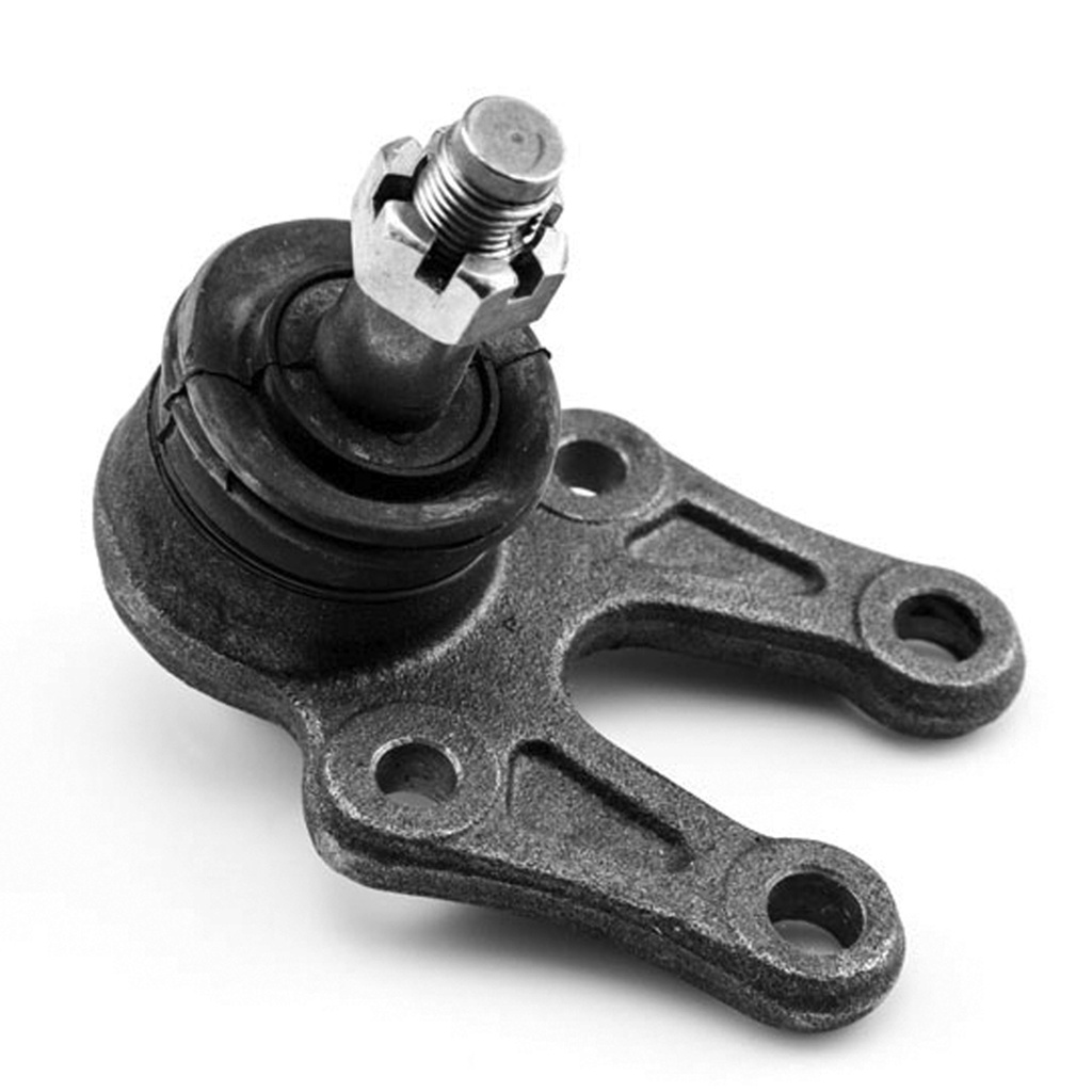 [K-9533 SYD] ROTULA INFERIOR